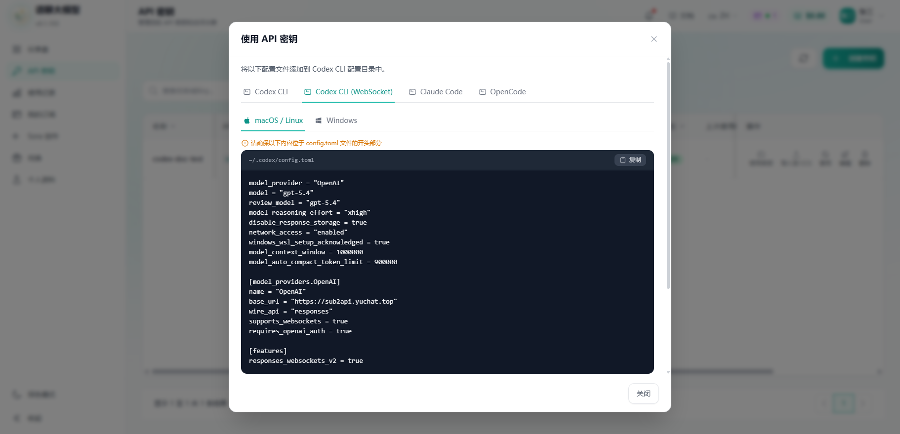 Codex CLI WebSocket 配置截图（已脱敏）