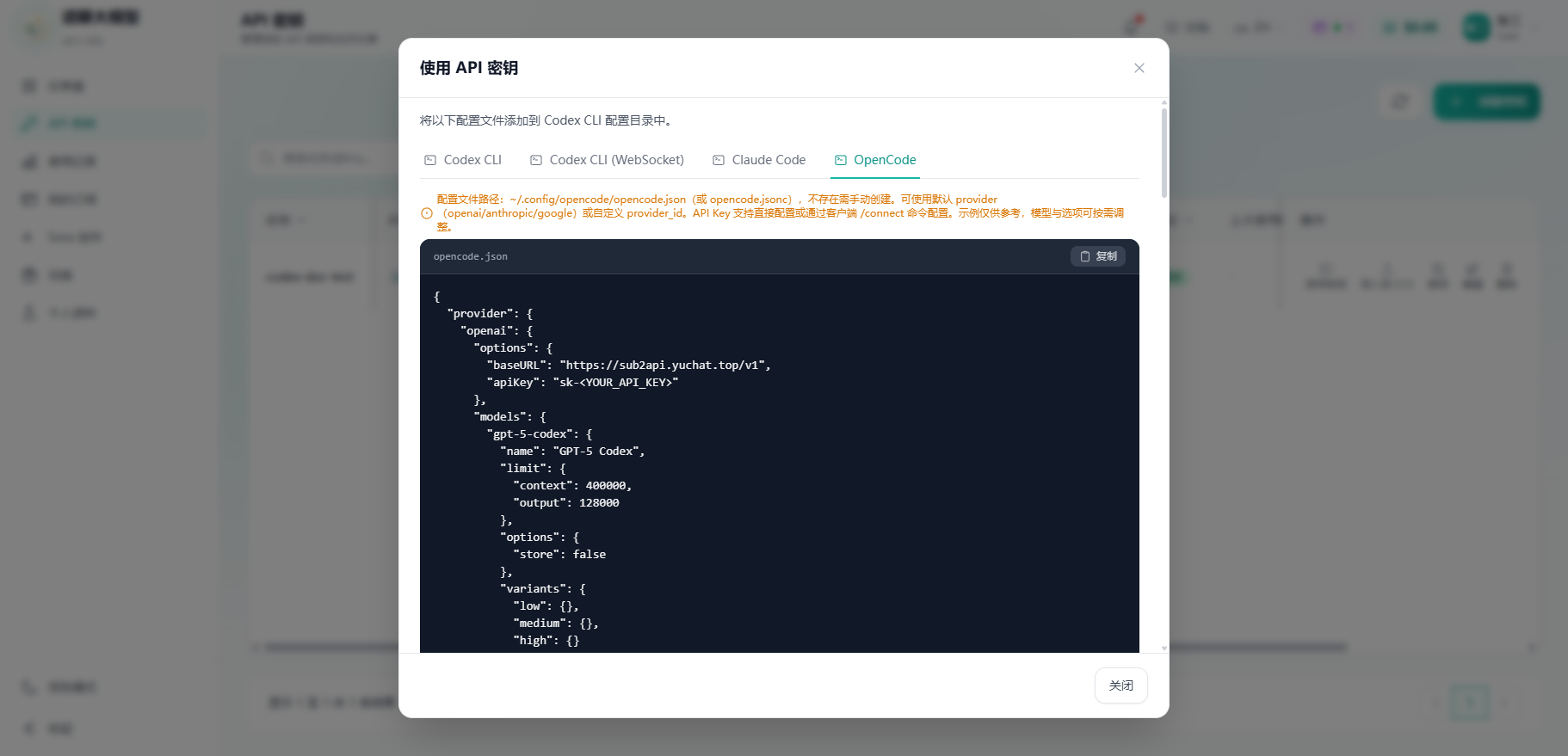 OpenCode 配置截图（已脱敏）